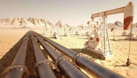 江寿林:加强石油和天然气(LNG)应急储备建设
